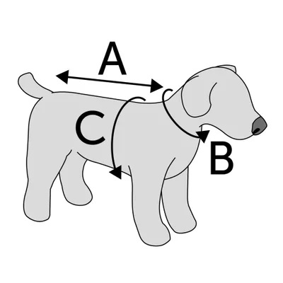 referencia para medir la talla de tu perro