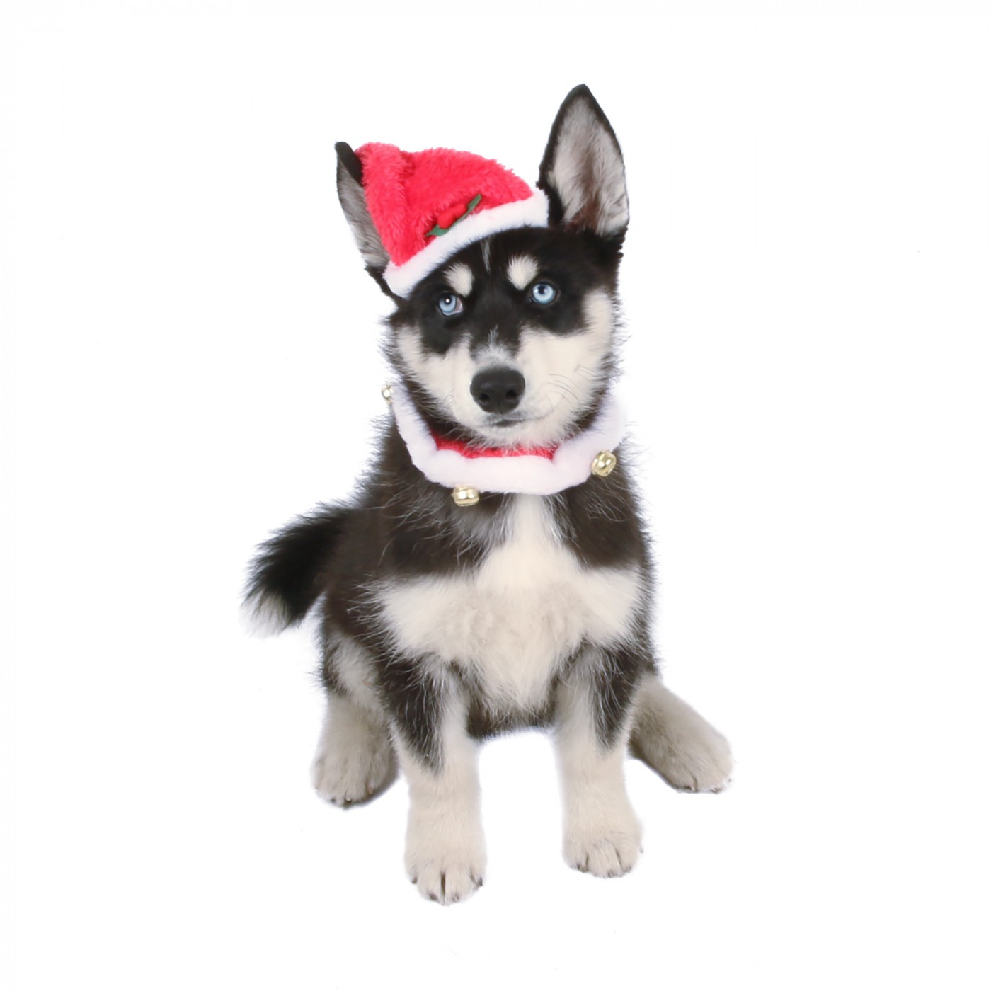 Compleet verkleed kerstset voor honden of katten, Zolia Festive