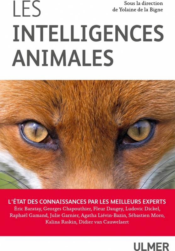 Les intelligences animales 2019