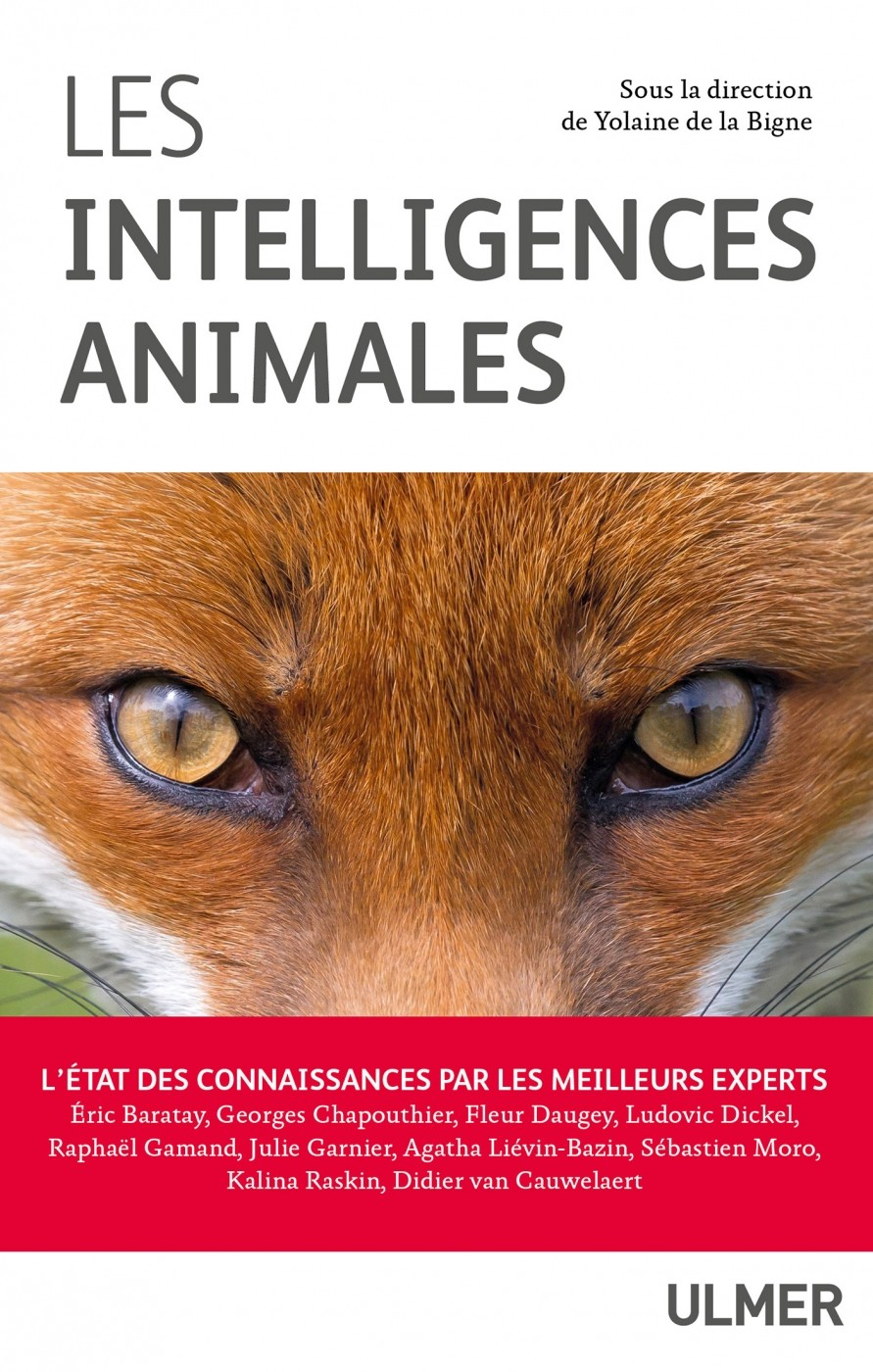 Les intelligences animales 2019