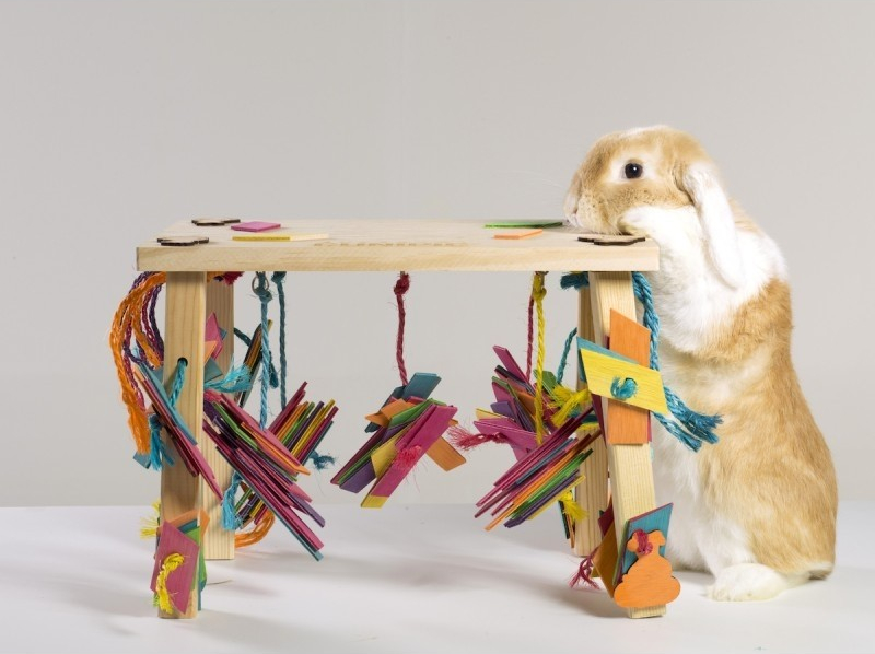 Cunipic Table de jeu en bois pour petits animaux - 39 x 30 cm