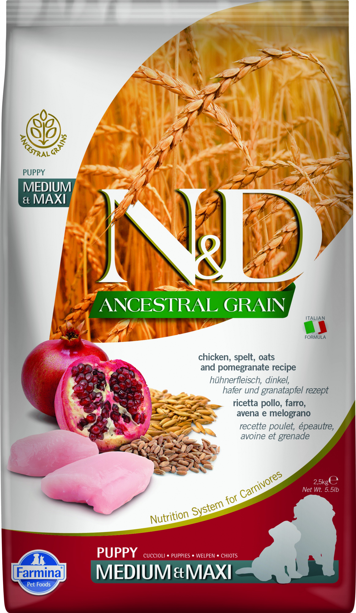 N&D Ancestral Grain - Alimento seco de frango & romã para cachorro de porte médio/grande