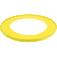 Frisbee grande 21 cm