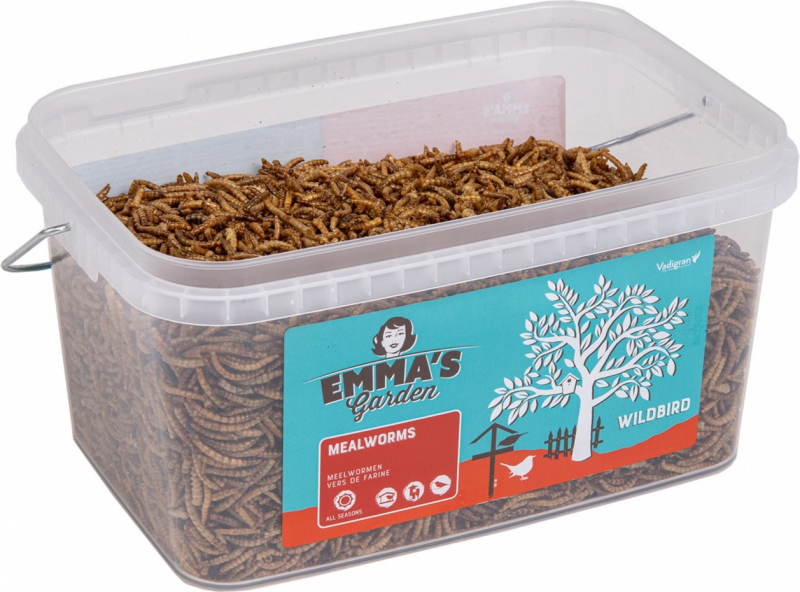 Emma's Garden Gusanos de la harina deshidratados para aves silvestres