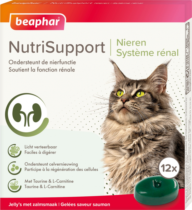 Nutrisupport Systeme Renal De Beaphar Complement Alimentaire Pour Chat Et Chaton