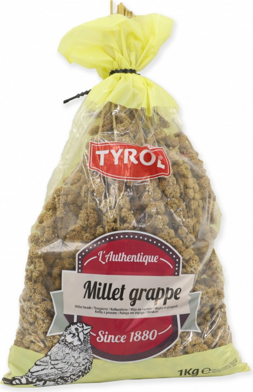Tyrol Millet en grappes friandise pour Oiseaux Domestiques