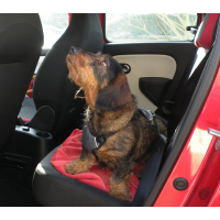 Harnais de sécurité voiture pour chien