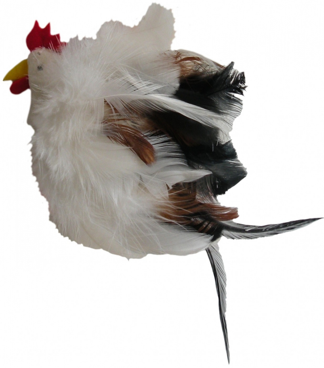 Jouet Poulet A Plumes Pour Chat