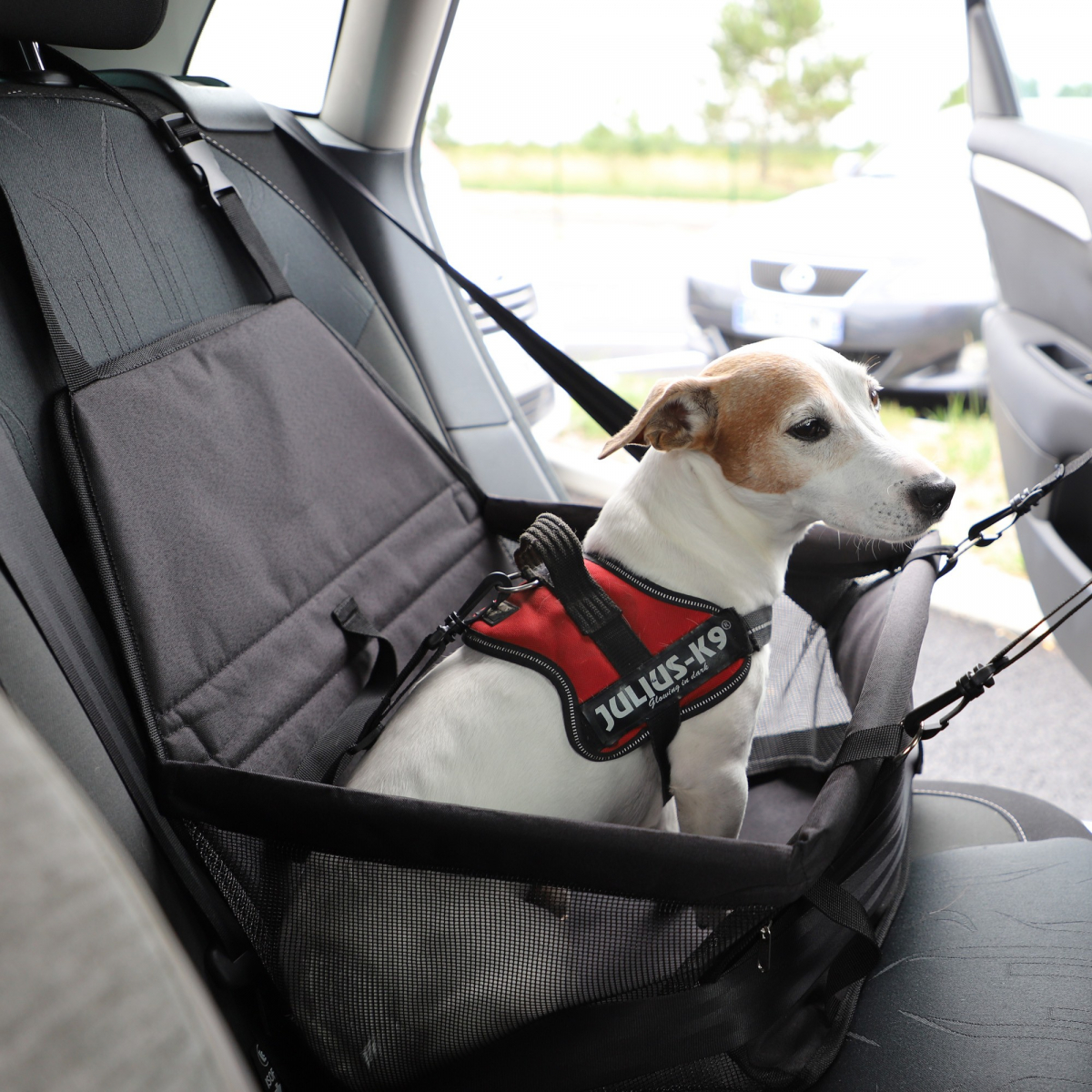 Siège auto pour chien ou chat. Housses de protection, sièges et coffre, pour  le transport en voiture.