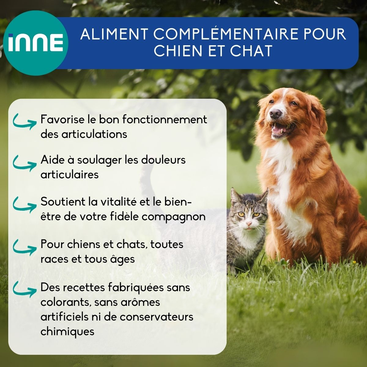 NUTRIVET Art Control Complément alimentaire pour chien et chat contre les problèmes articulaires