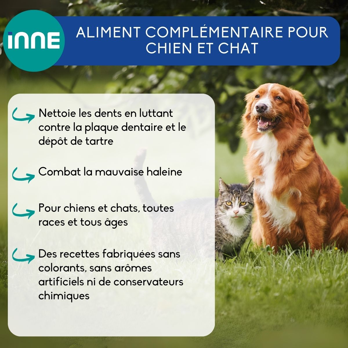 NUTRIVET Dental Cleaning Complément alimentaire pour l'hygiène bucco-dentaire chien et chat