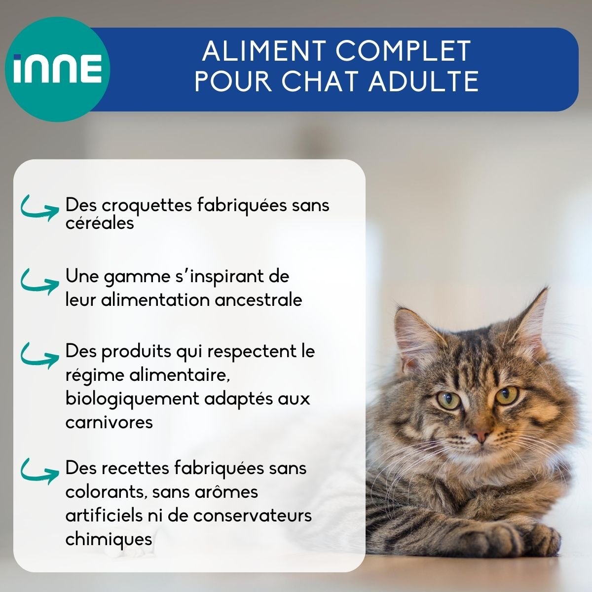 NUTRIVET INNE aves para gato adulto