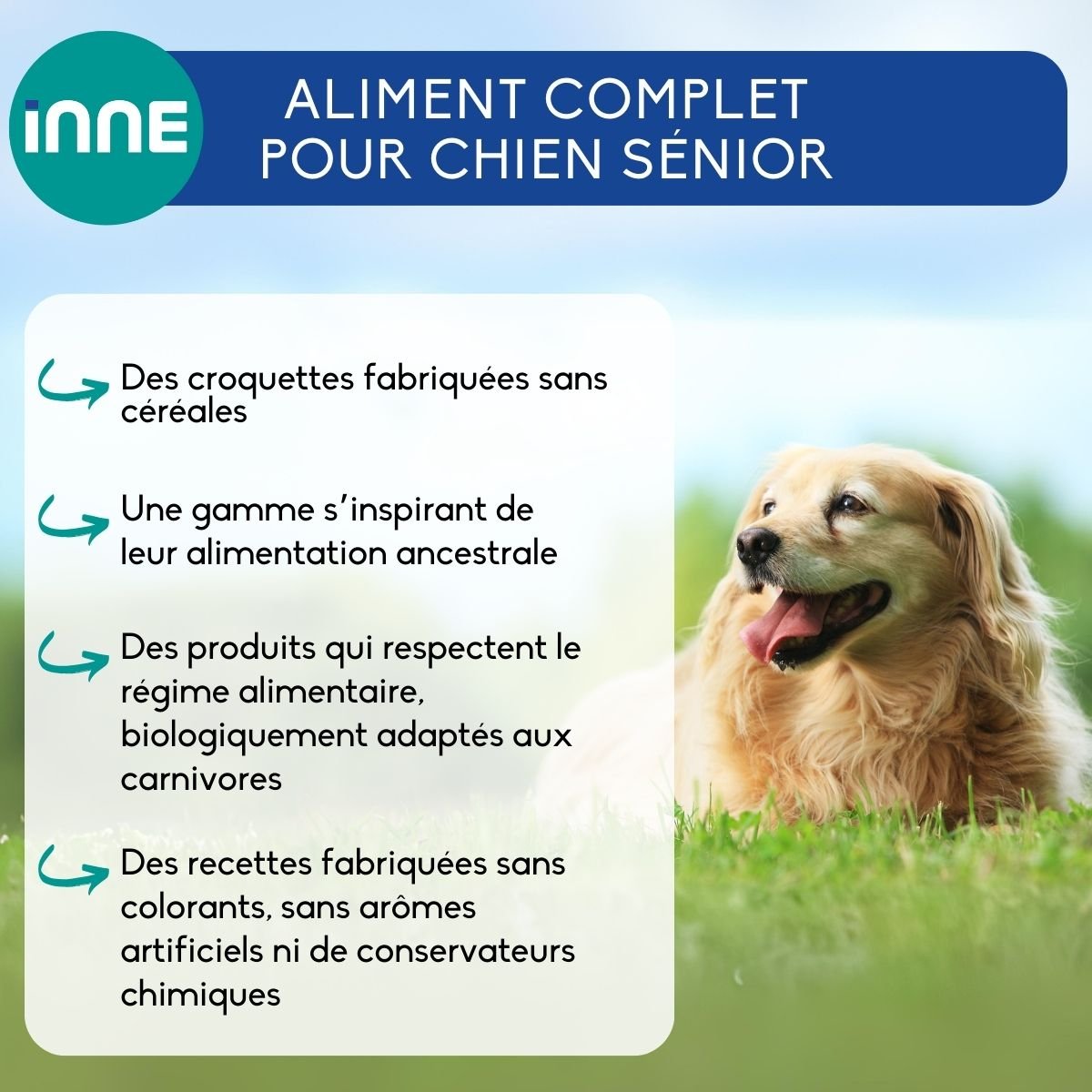 NUTRIVET INNE Volaille pour chien senior