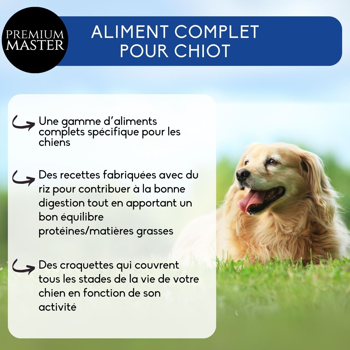 NUTRIVET Premium Master pour chiot