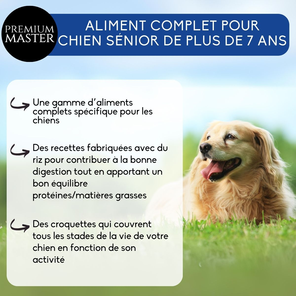 NUTRIVET Premium Master pour chien sénior