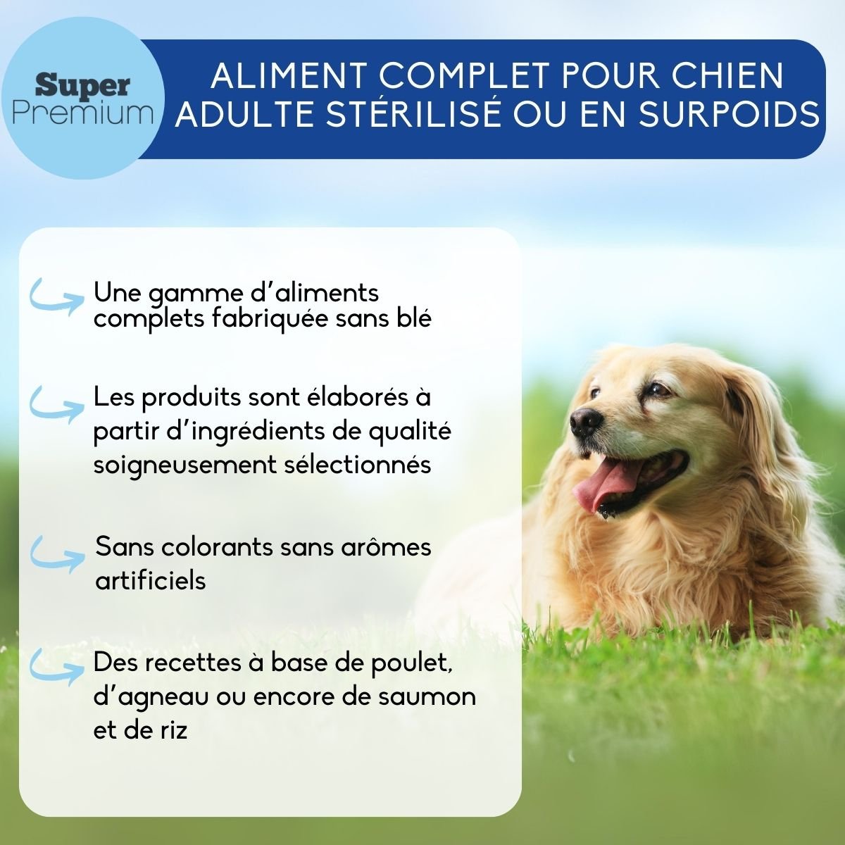 NUTRIVET Super Premium Balance Volaille pour chien adulte