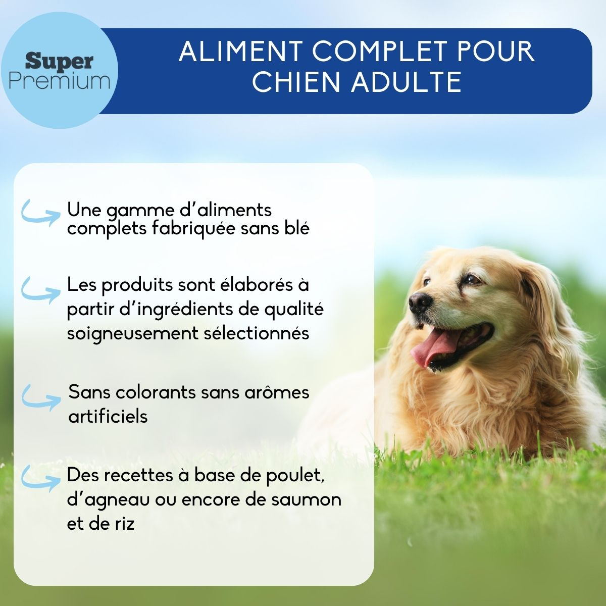 NUTRIVET Super Premium Sensitive Volaille pour chien adulte