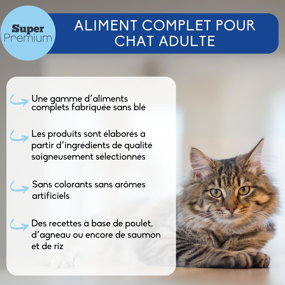 NUTRIVET Super Premium Poulet pour chat adulte