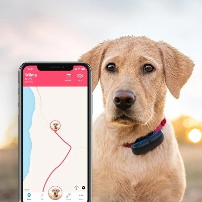 Localizzatore Tractive GPS DOG per cani