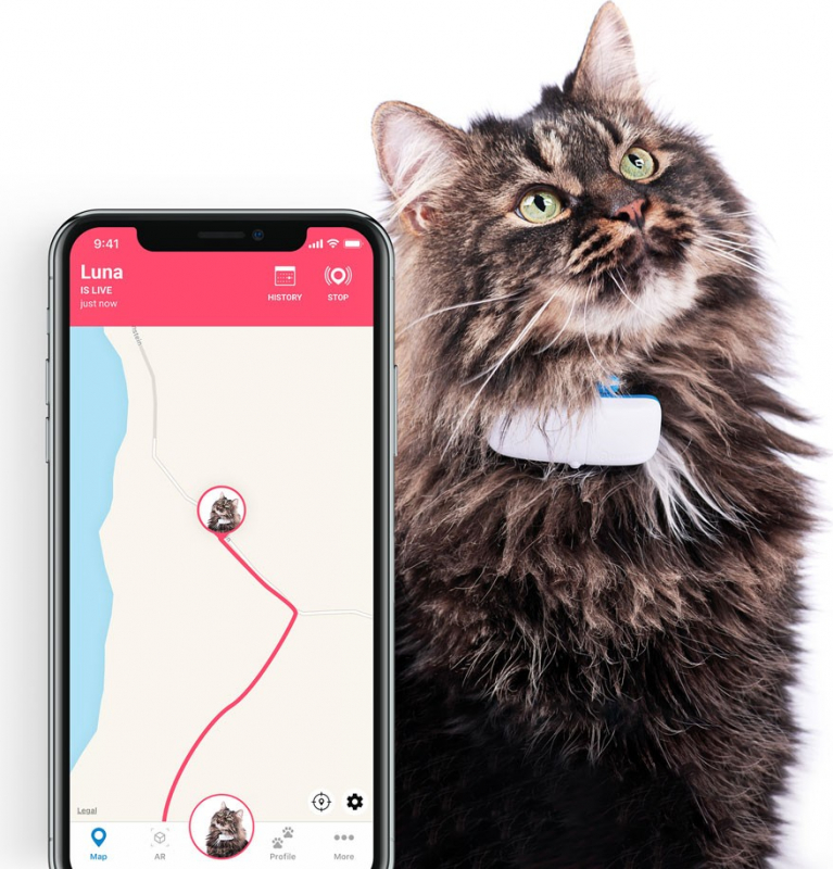 Localizzatore Tractive GPS per gatti con monitoraggio attività