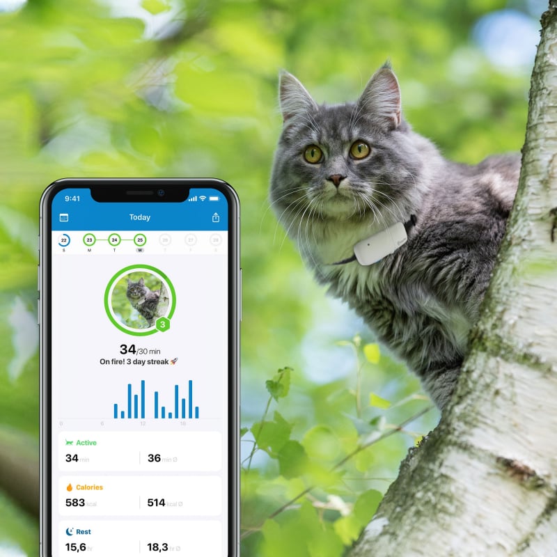 Tractive GPS Tracker für Katzen mit Aktivitätstracker