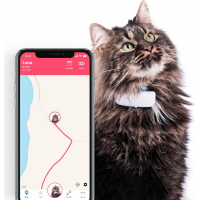 Localizzatore Tractive GPS per gatti con monitoraggio attività