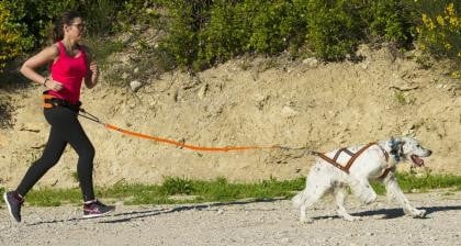 Canicross lijn One I Dog