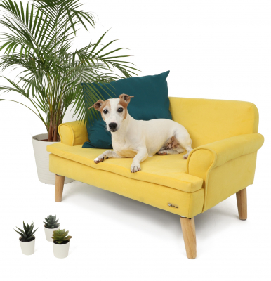 Canapé pour chien jaune Zolia Alta