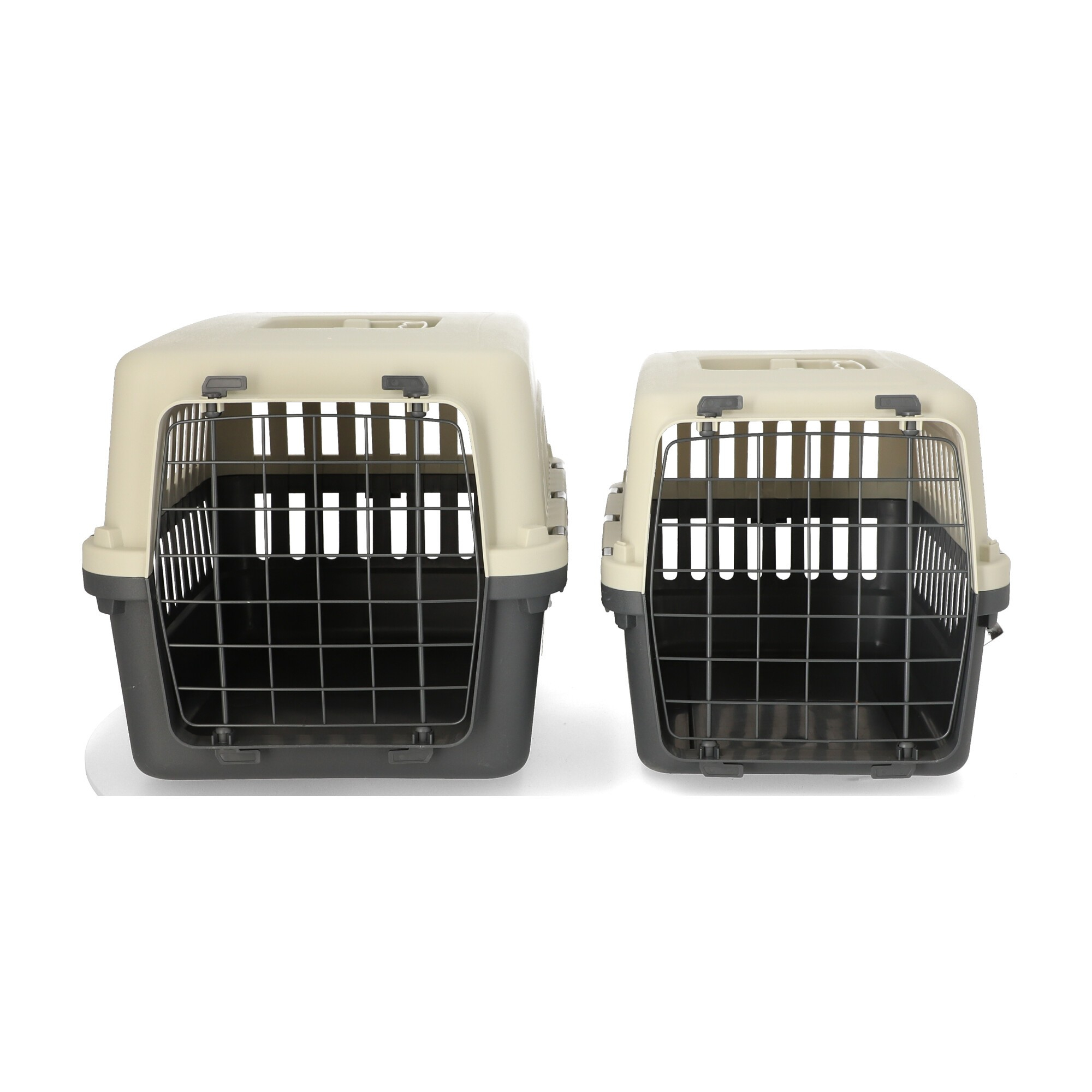 Transportbox für Katzen und kleine Hunde Odyssee Zolia - 2 Größen verfügbar