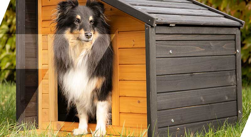 Un perro dentro de la caseta de madera Zolia Malvik