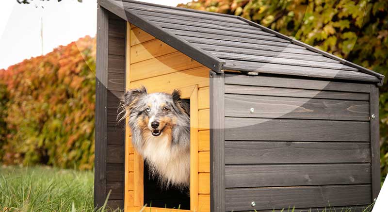 Un perro dentro de la caseta de madera para perros con techo inclinado 