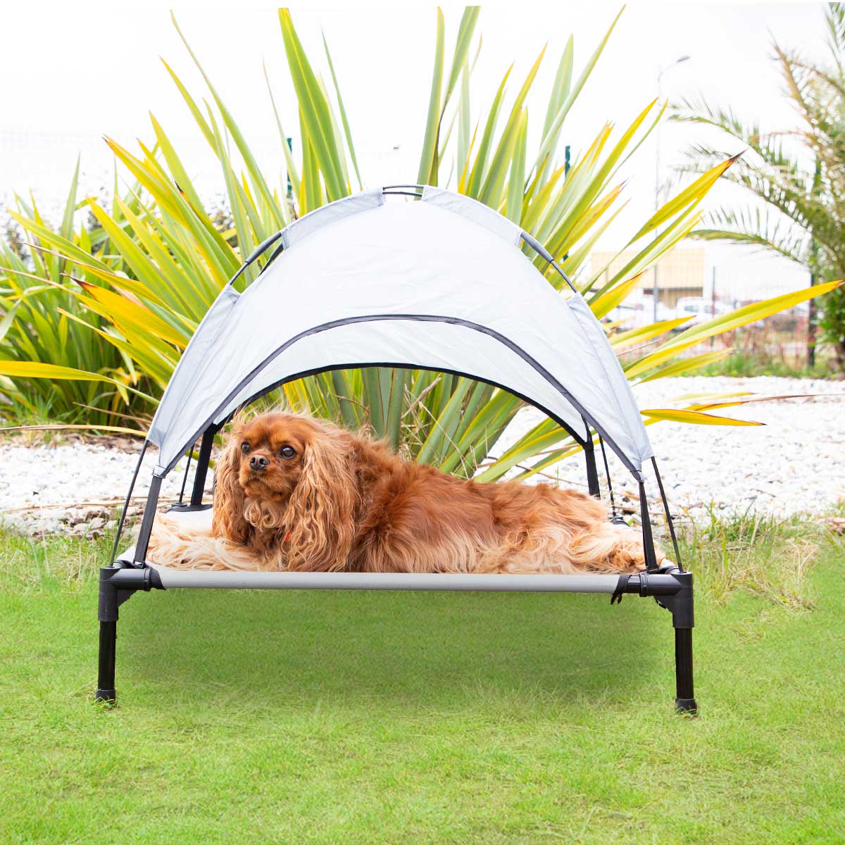Un perro tumbado en la cama de exterior con parasol para perros Zolia Zolia Camper Plus