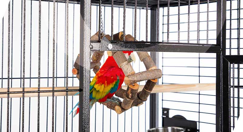 la rueda de madera es un juguete muy entretenido para pájaros