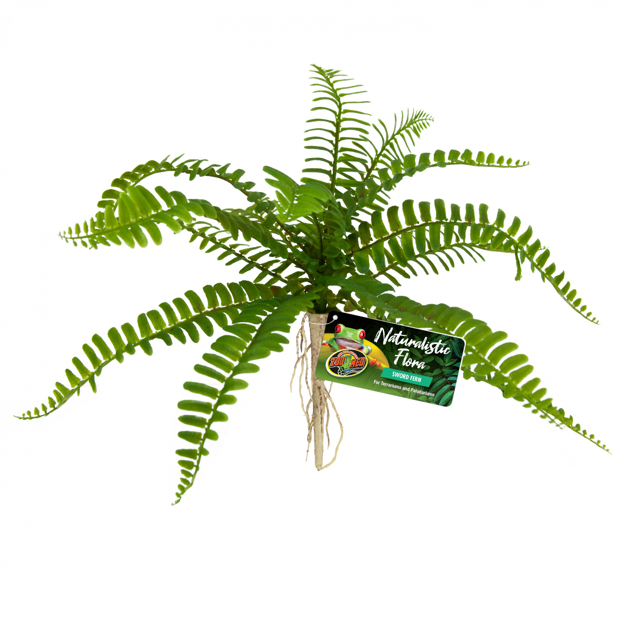 Plante artificielle pour terrarium, paludarium - Sword fern