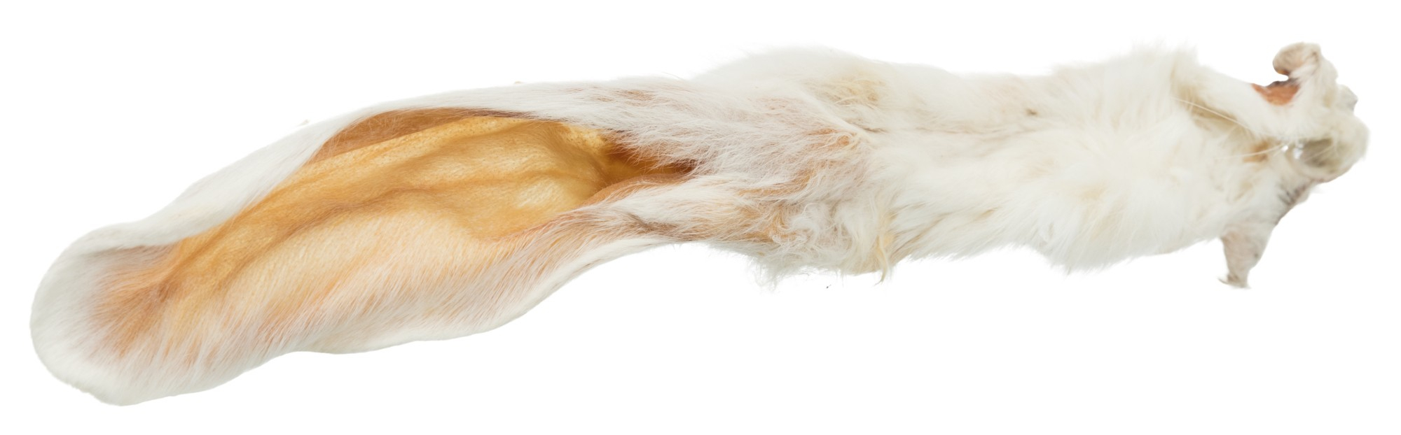 Hasenohren mit Fell für Hunde Trixie