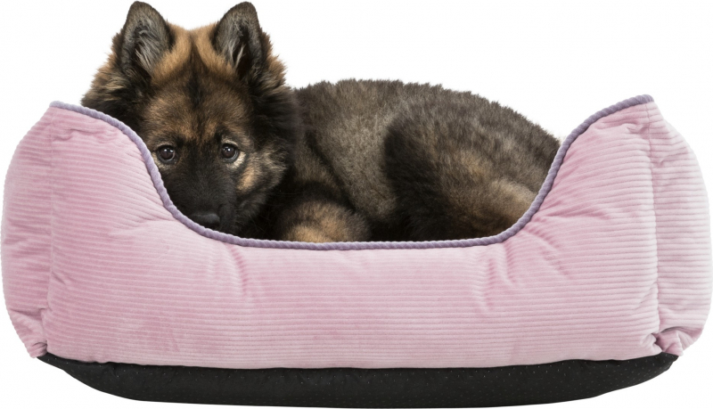 Sofa für Hunde AltRosa oder Beige Lupo 3 Größen erhältlich