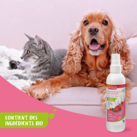 Spray shampoing sec Ecocert pour chien et chat