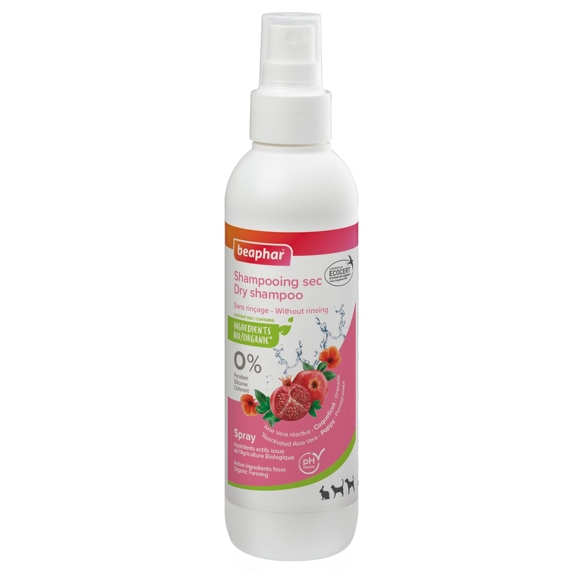 Spray shampoing sec Ecocert pour chien et chat