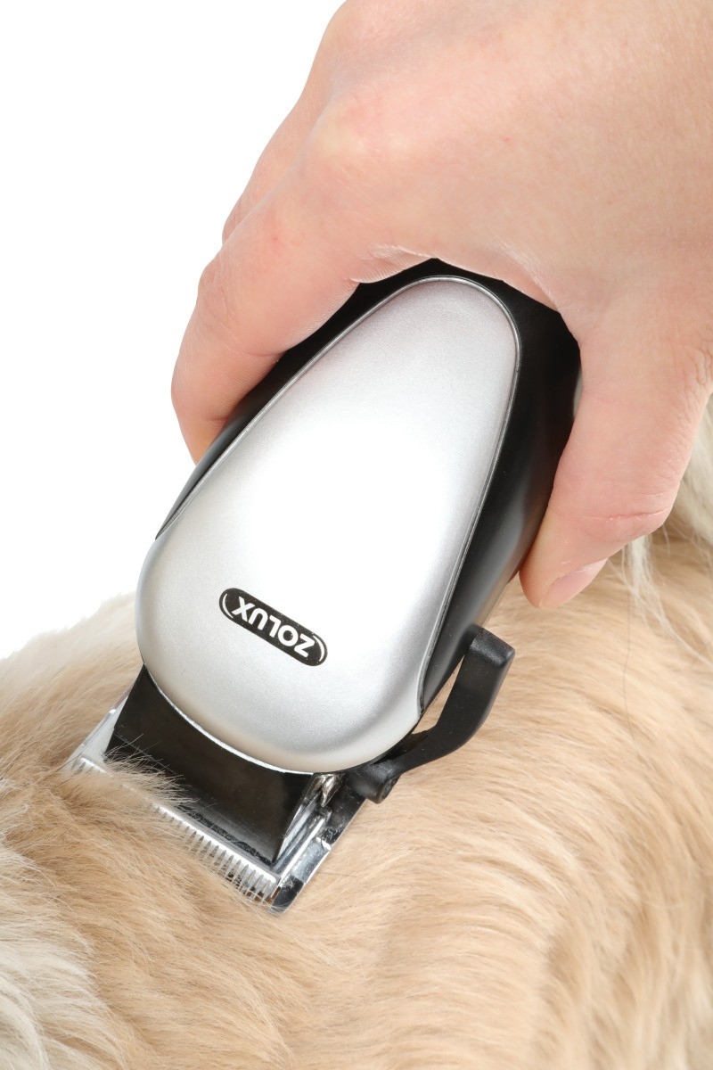 Kit cortadora eléctrica para perro con accesorios