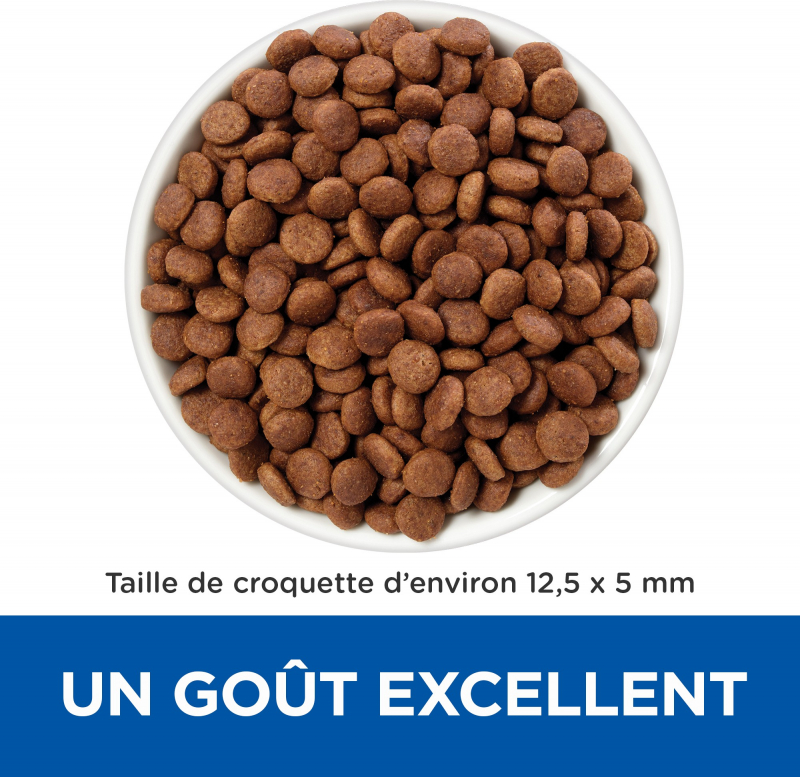 Hillu0027s Prescription Diet Gastrointestinal Biome croquettes pour chien au  poulet