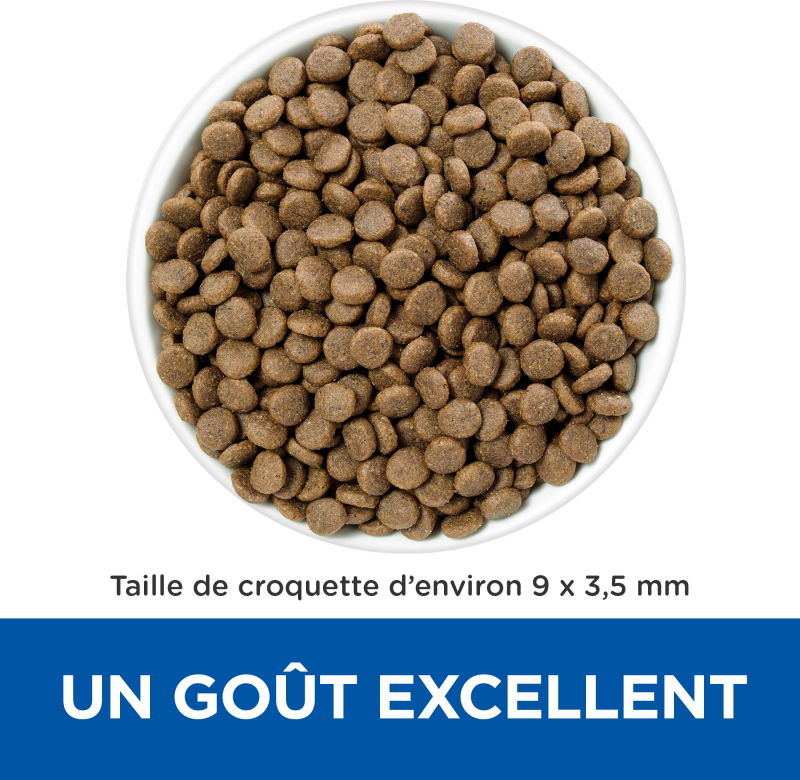 Hill S Prescription Diet Gastrointestinal Biome Croquettes Pour Chat Au Poulet