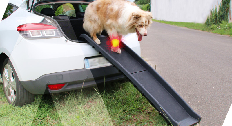 rampe doggy step accès facile