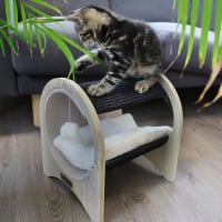 Ninho com arranhador para gato Zolia Lombok - vários tamanhos disponíveis