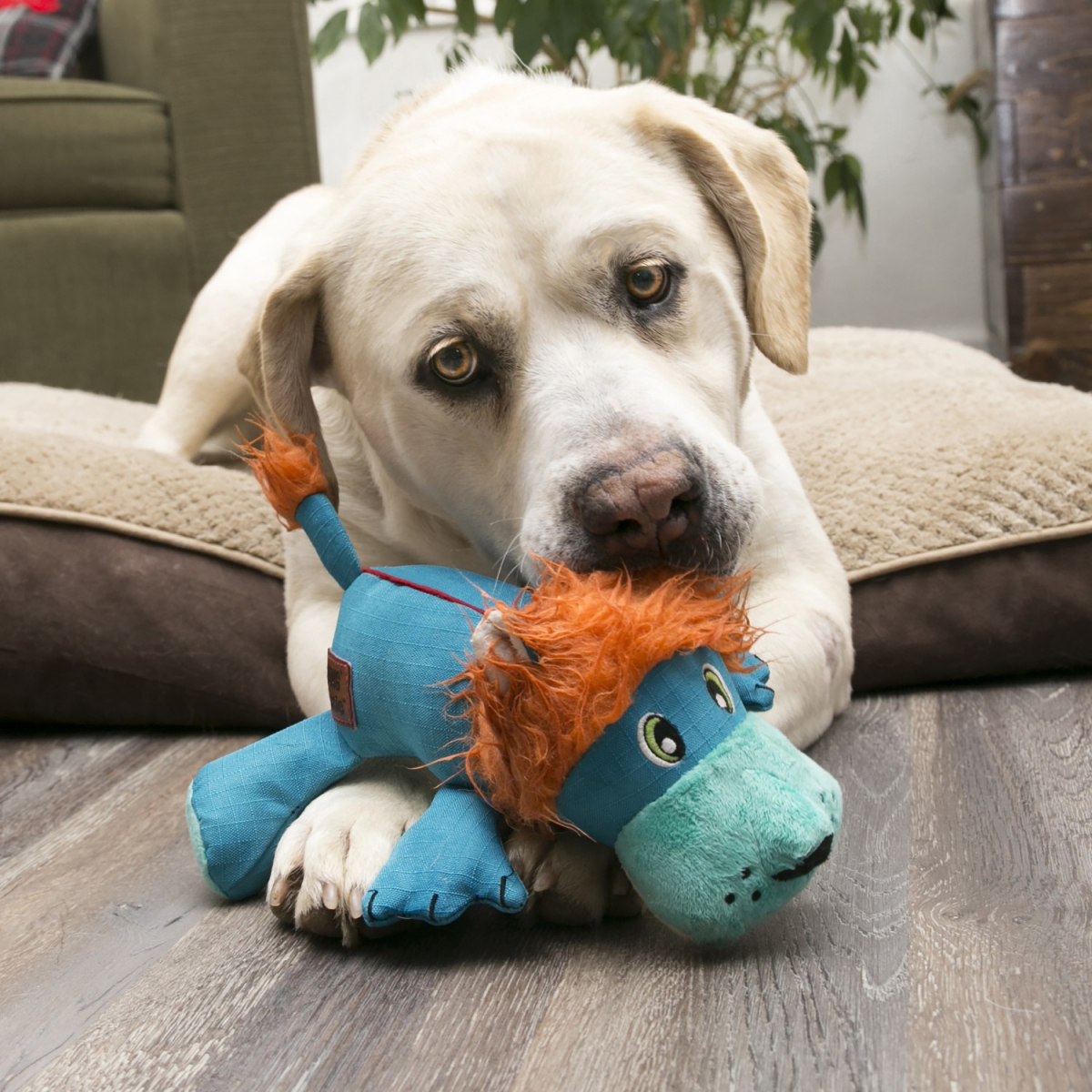 Jouets pour Chiens,Indestructible Jouet Kong pour Chien Qui Sonne