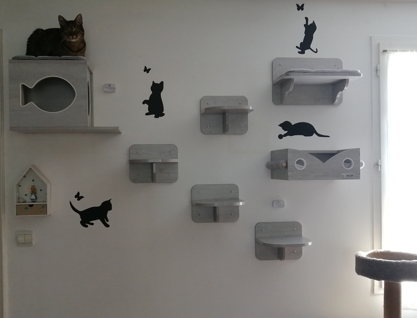 Arbre A Chat Mural Modulable Zolia Hooky