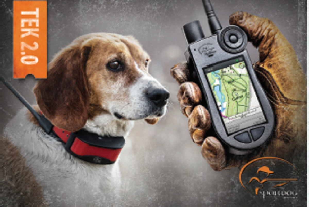 Petsafe Coleira GPS Tracker - Petsafe Mapa topográfico França para cães de caça