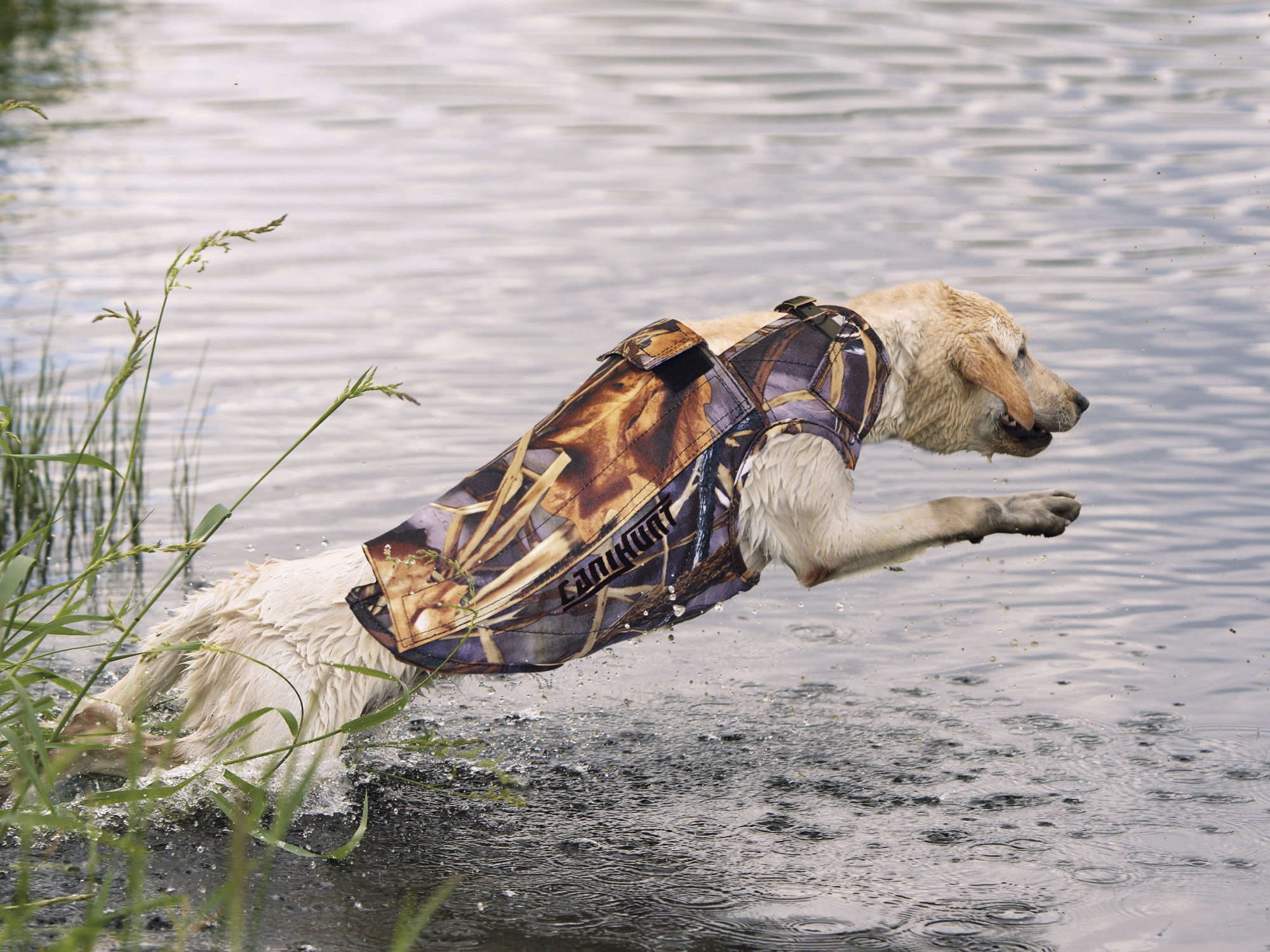 Chaleco salvavidas para perros de camuflaje Neopro Canihunt