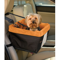 Accessoires transport en voiture pour chien