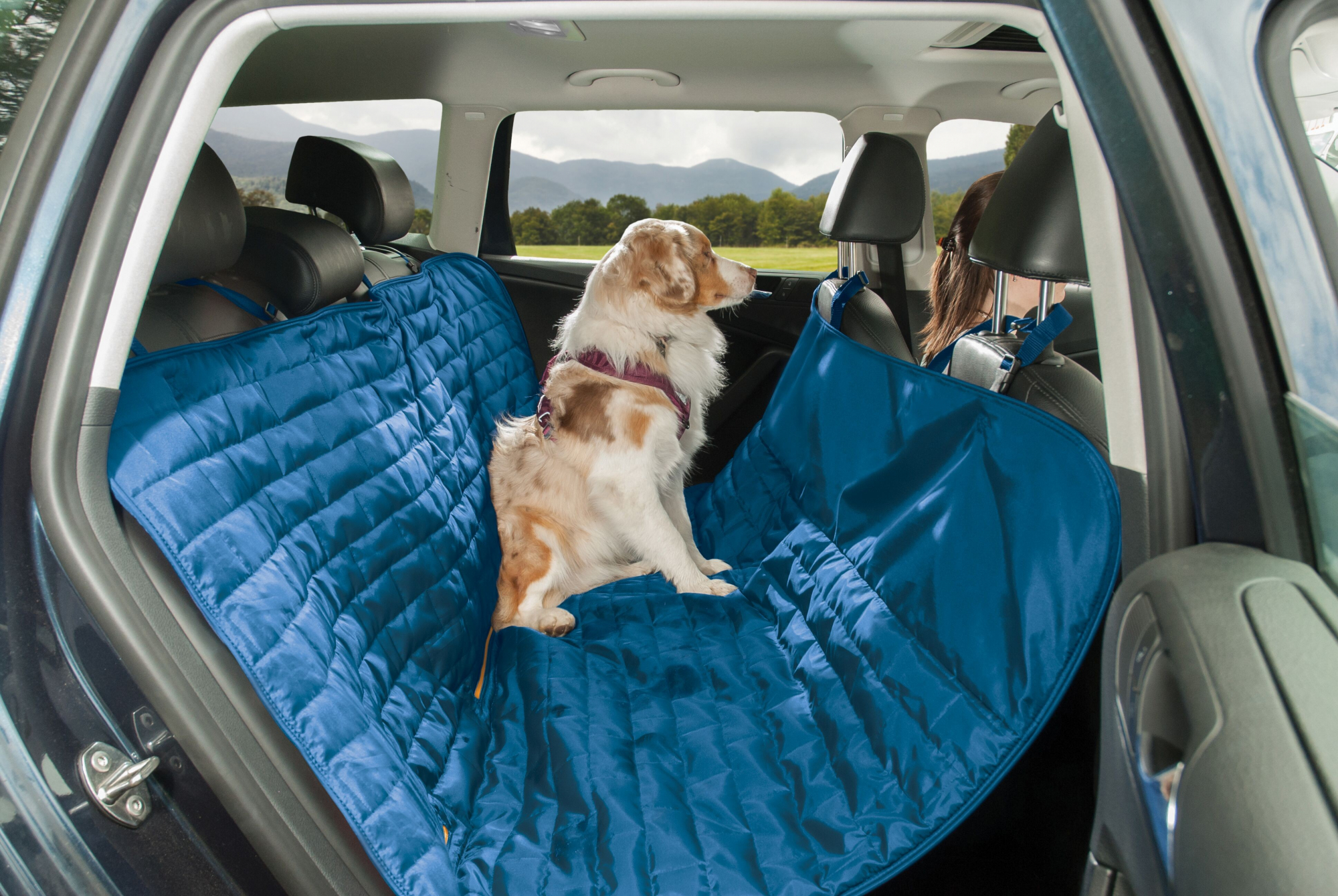Kurgo Loft Auto-Hundehängematte reversibel Blau und Orange