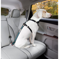 Attache de sécurité ceinture Direct Seatbelt Kurgo